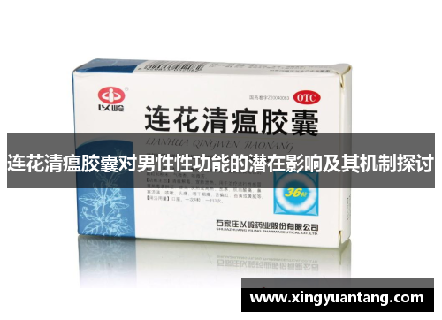 连花清瘟胶囊对男性性功能的潜在影响及其机制探讨